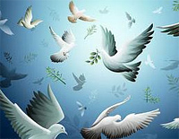 La Paloma (The Dove)